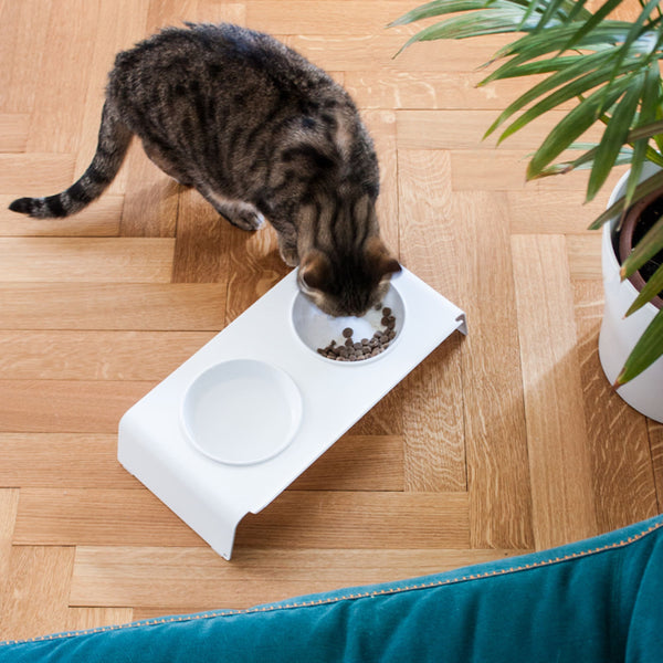 Schne Futterplatz Katze Hundesicher Ebenbild