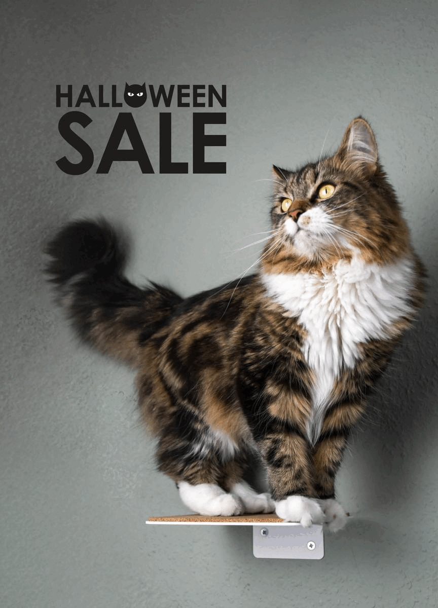 Design Katzenmöbel im Halloween Sale