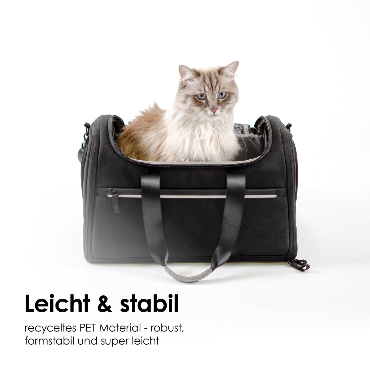 Flugzeug Tasche Katzen