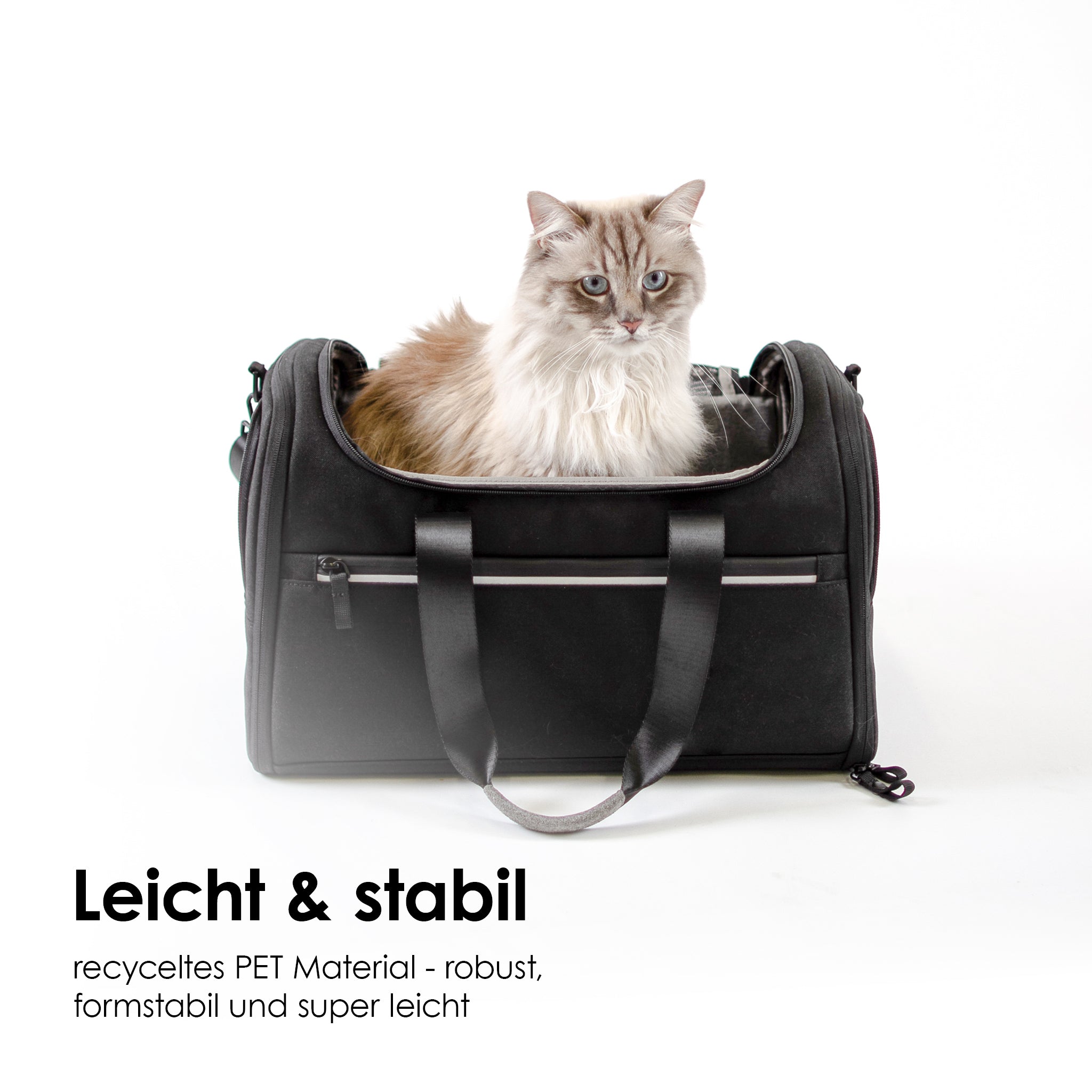 LucyBalu - Design Katzentransporttasche CHECK-IN zum