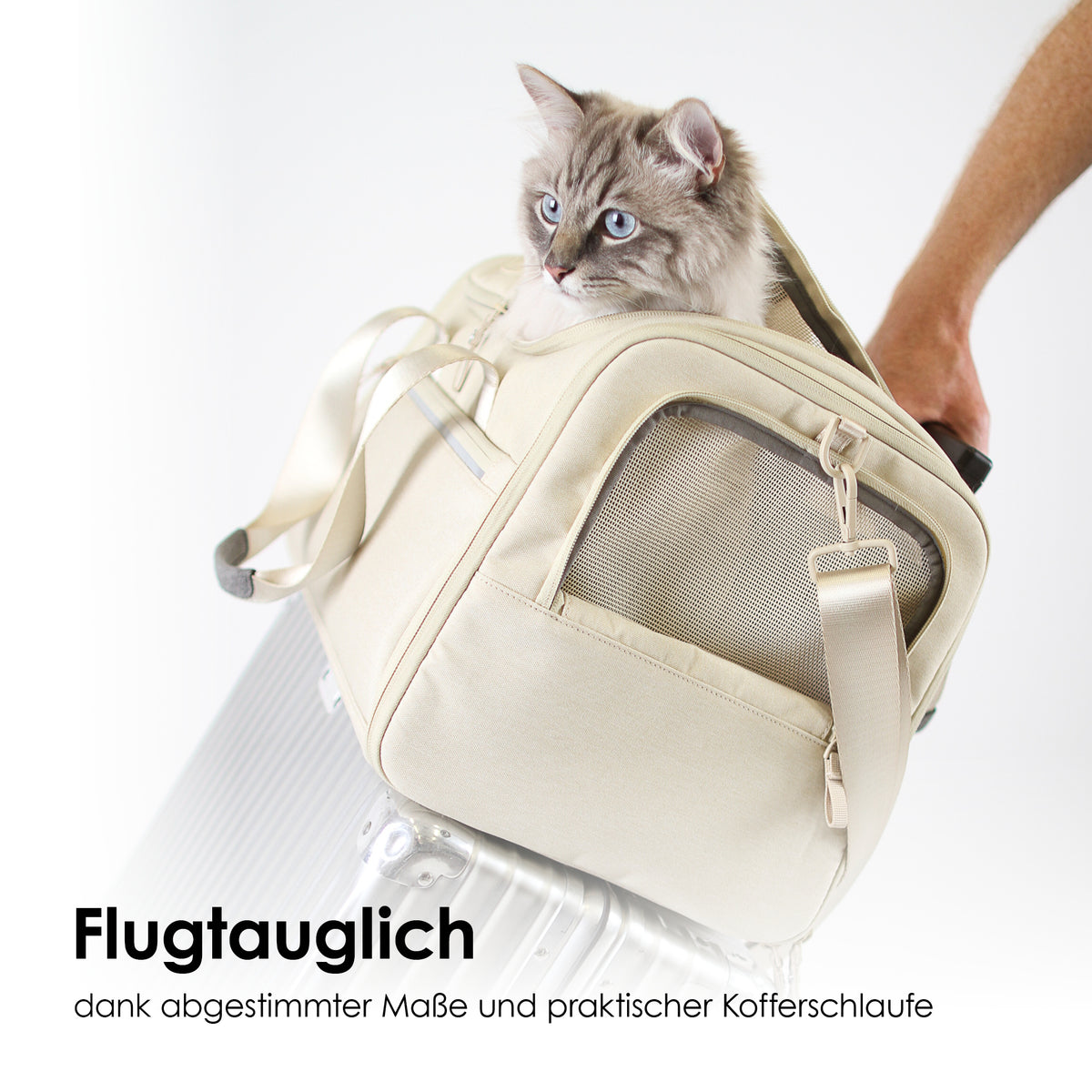 Tasche Katzen Beige