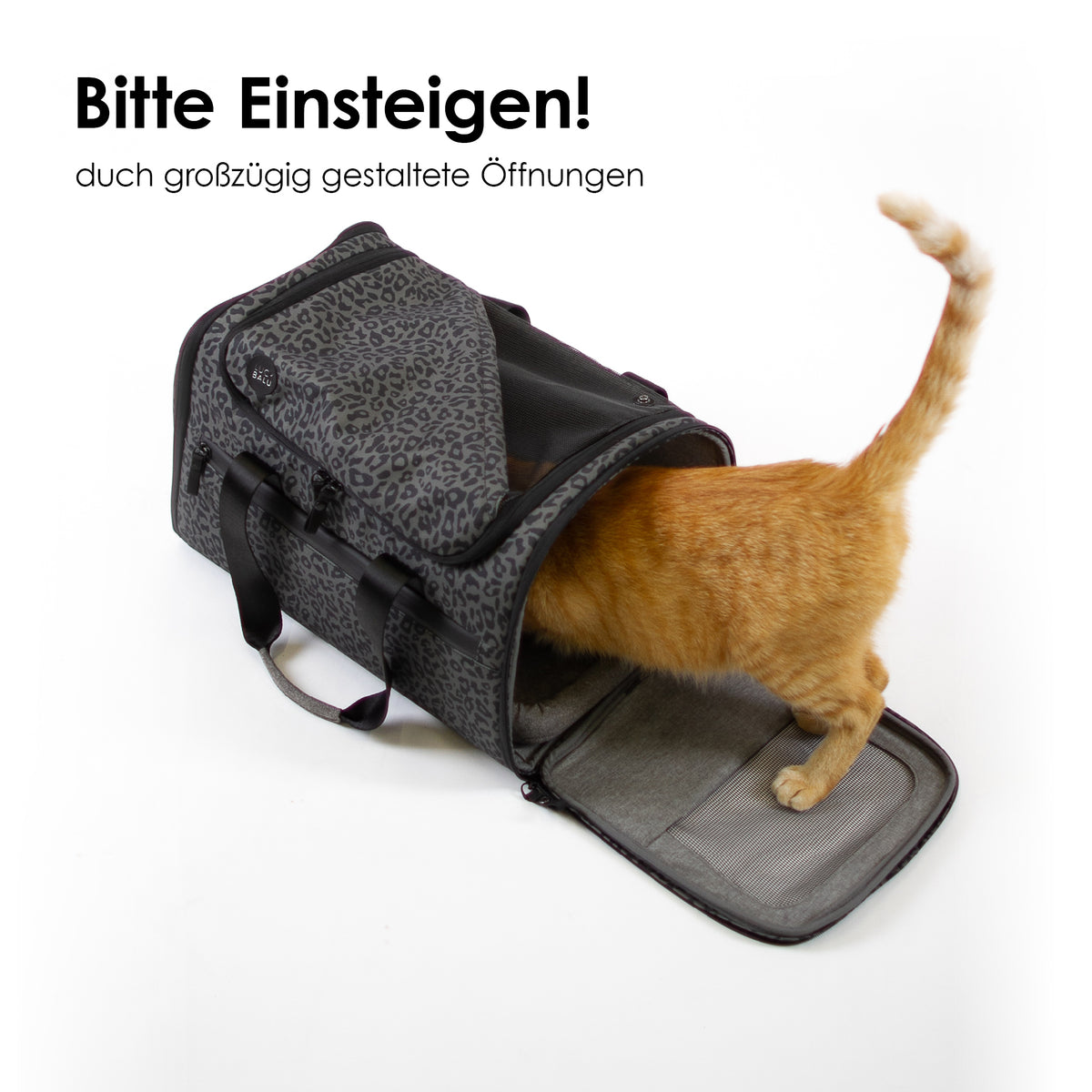 schöne Tasche Katzen