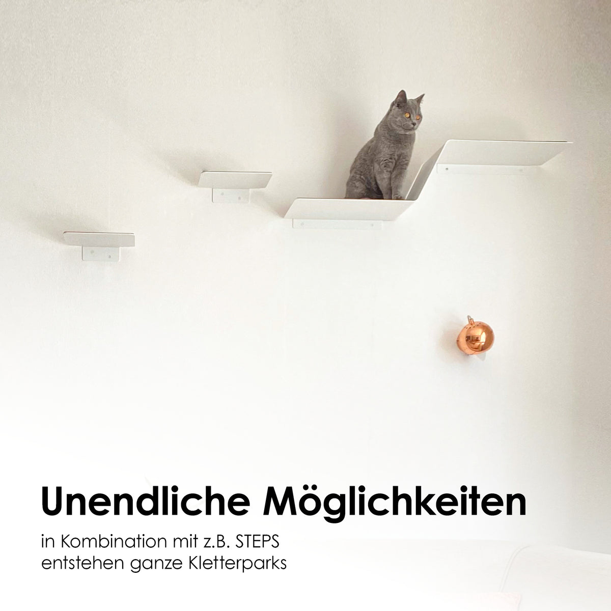 anthrazit katzen kletterwand