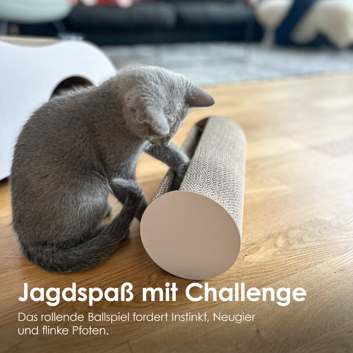 Intelligenzspielzeug für Katzen aus Pappe