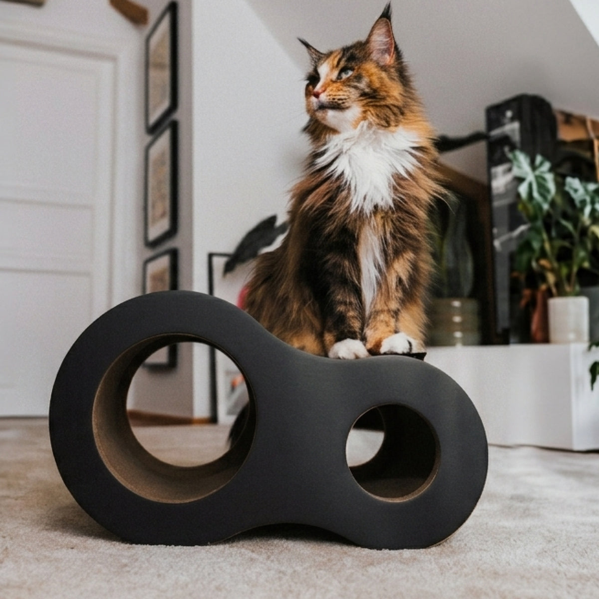 Design Kratzelemnt für Katzen