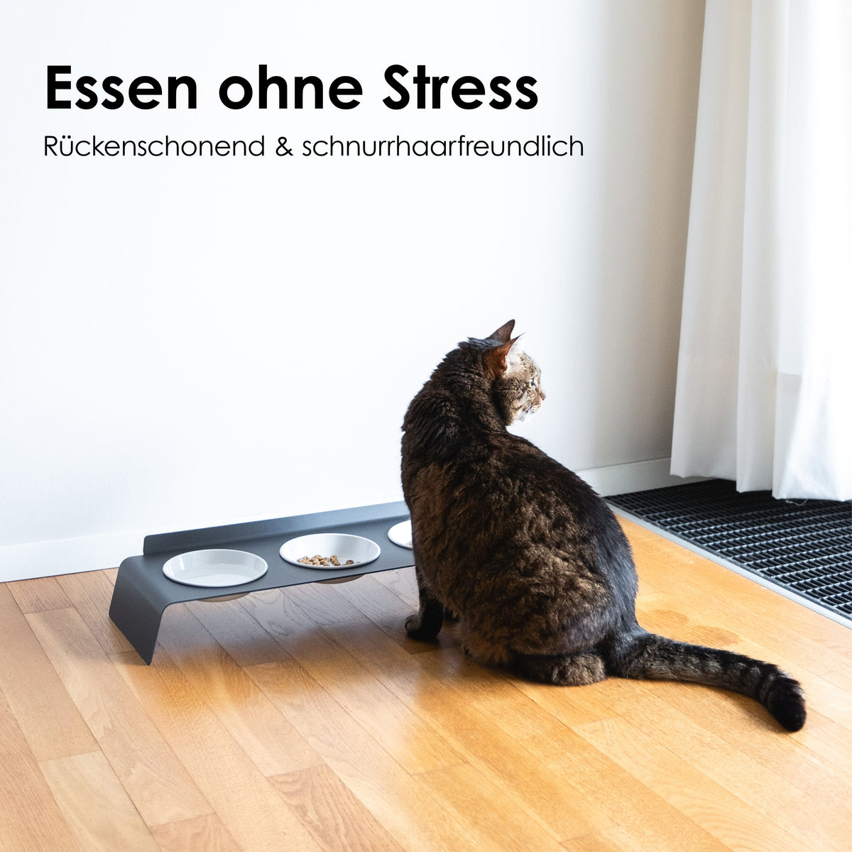 stressfrei Essen in der Katzen Futterstation