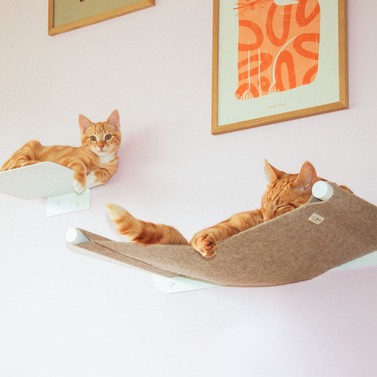 hängematte für katzen wand LucyBalu - Katzenhängematte SWING aus Filz für die Wand
