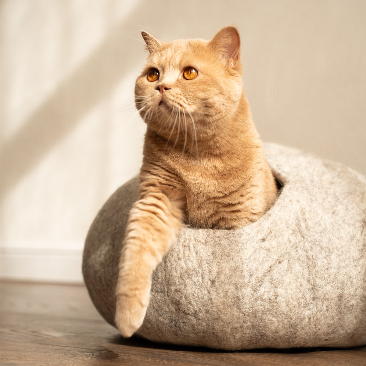 graue Filzhöhle für Katzen