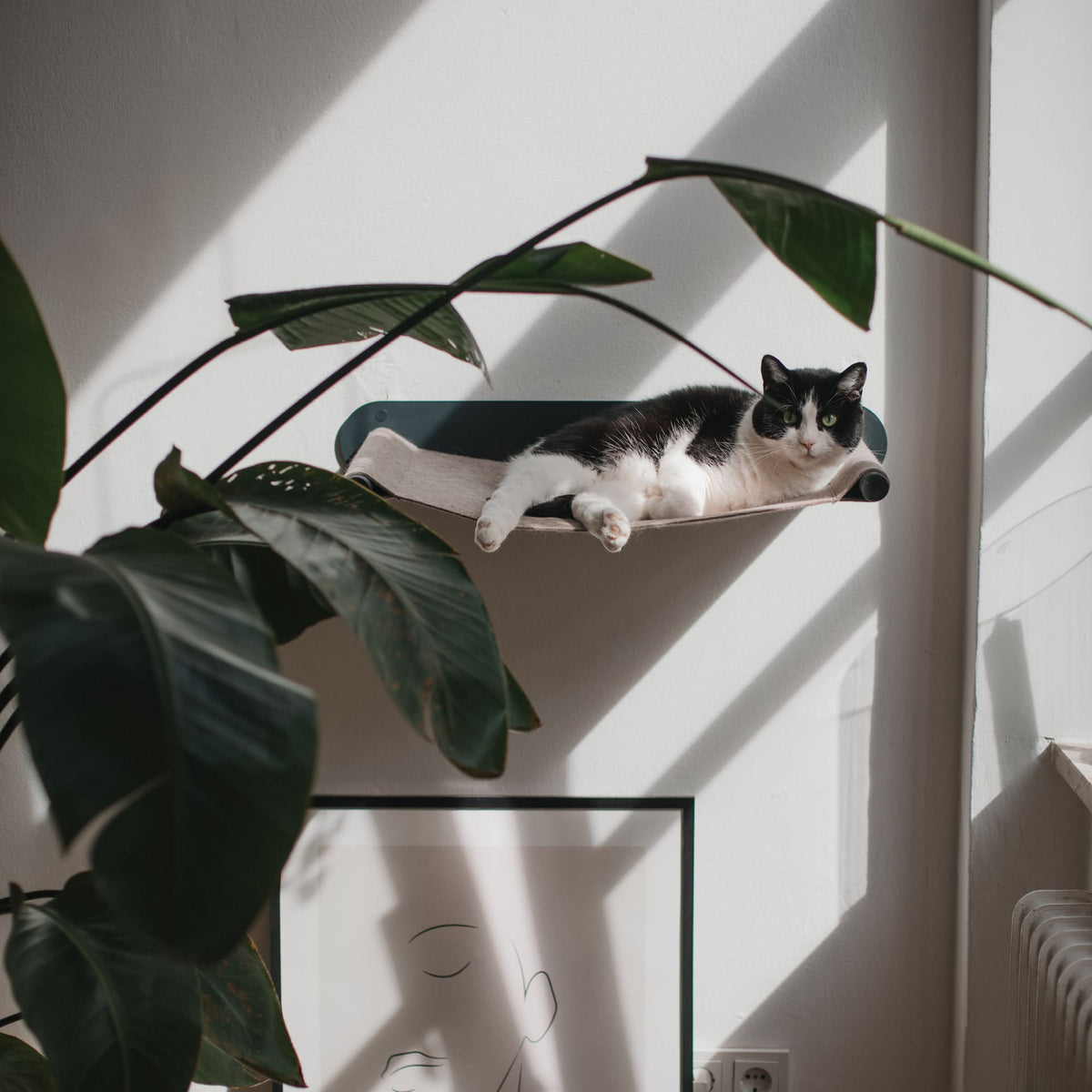 Schwarz-weiße Katze ruht entspannt auf einer erhöhten Wandhängematte über einem Kunstposter, umgeben von grünen Pflanzen.