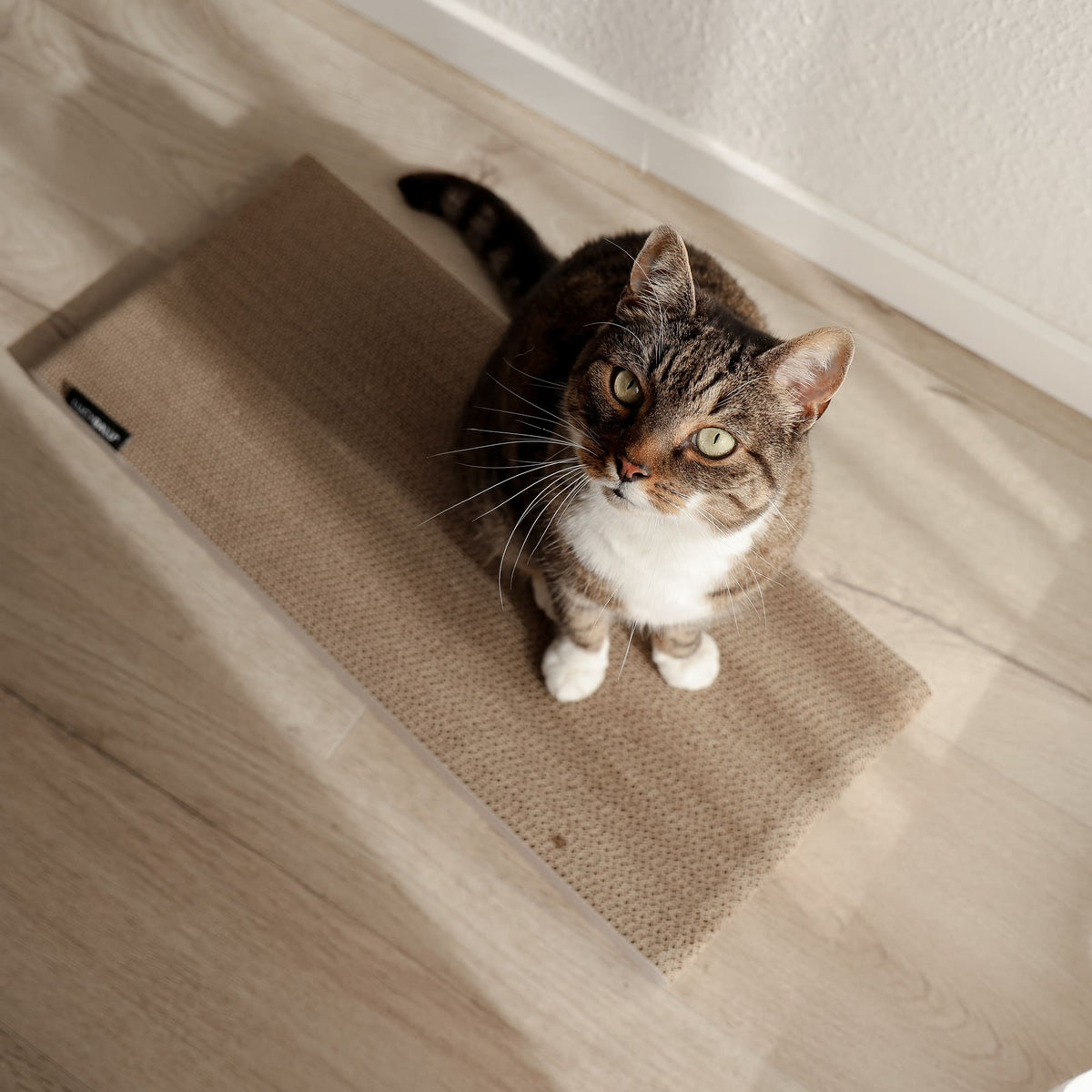 SCRATCHPAPER Kratzpappe