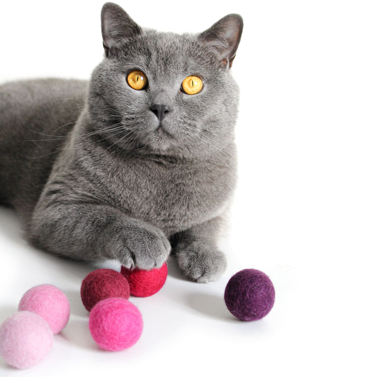VIVA MAGENTA Boules de feutre - Lot de 6 (Multicolore)