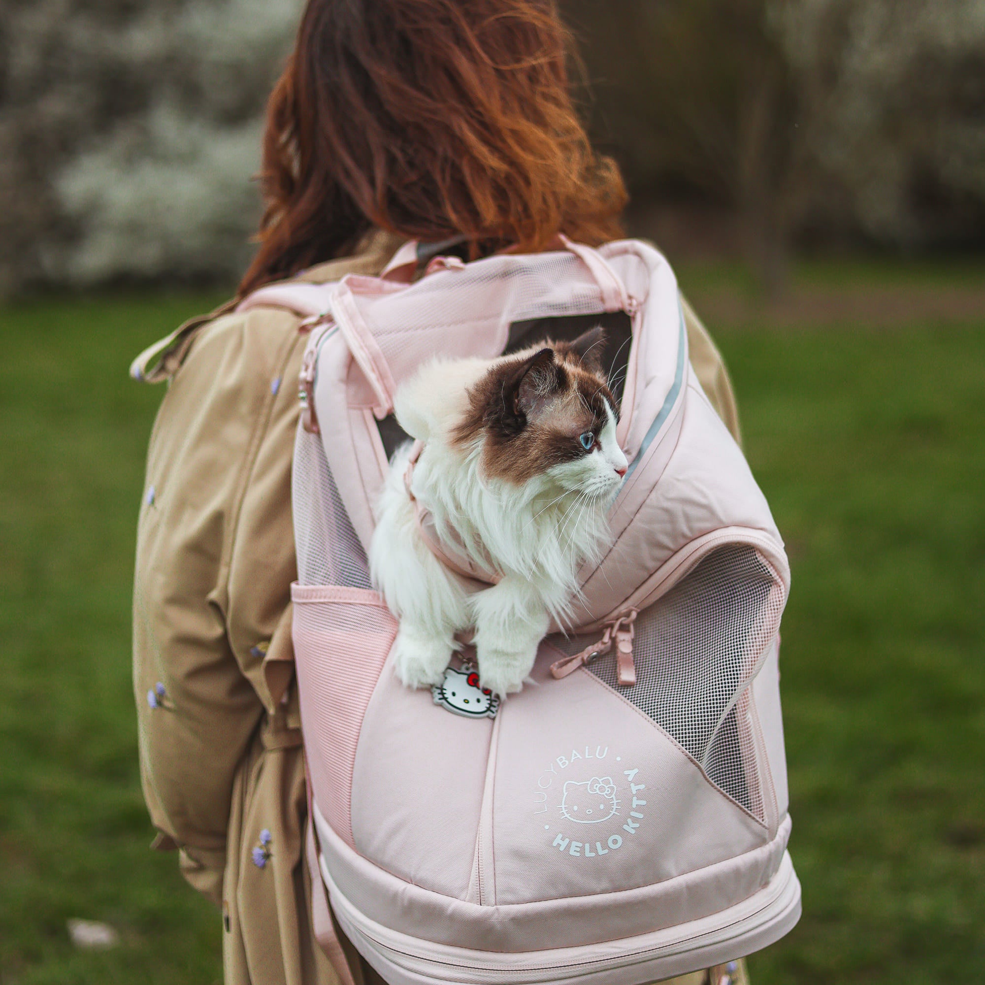 katzen wanderrucksack Katzen Transportgepäck und Katzengeschirr Set - Hello Kitty Edition