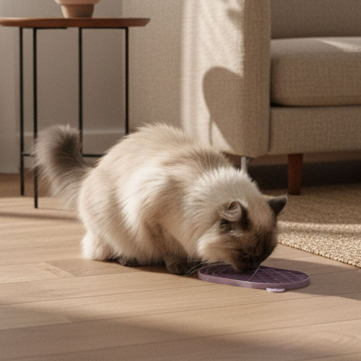 ZENPAD Tapis à lécher pour chats