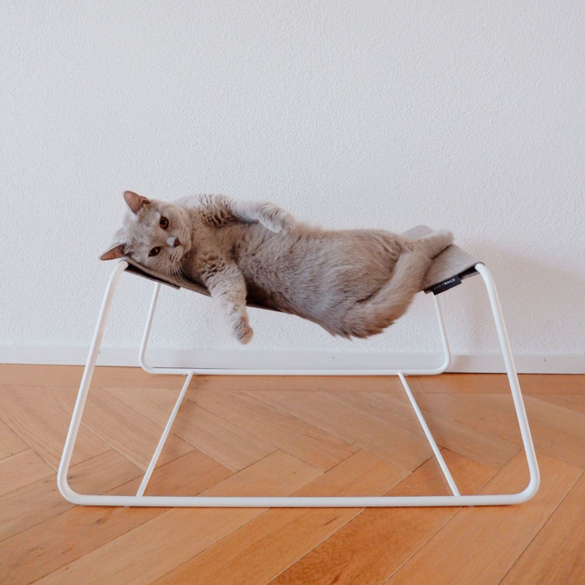 Couchette FLOAT