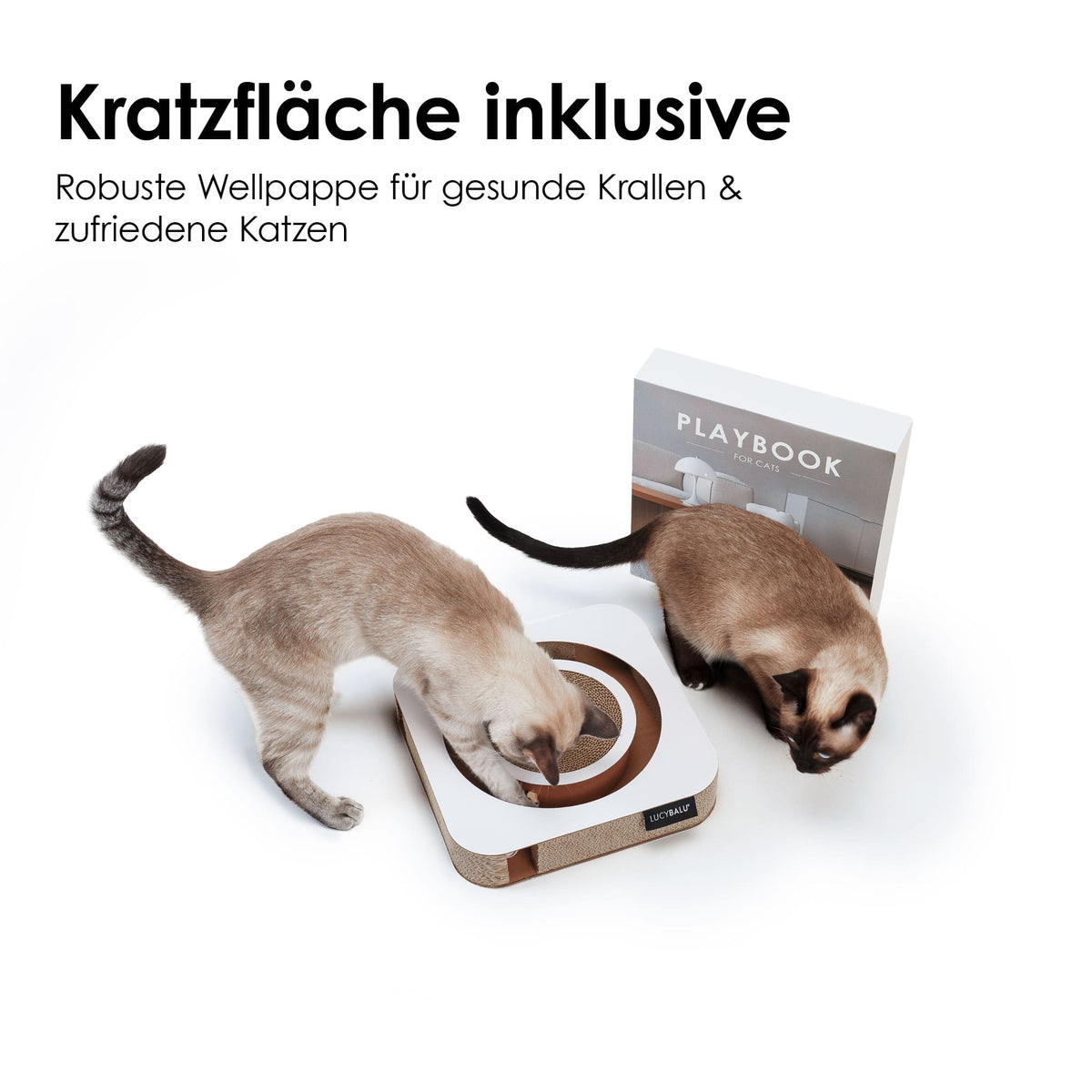 PLAYBOOK Interaktives Spielzeug