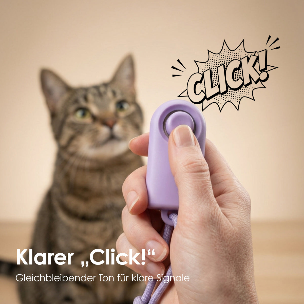 CLICKER Trainings-Klicker | 2er Set