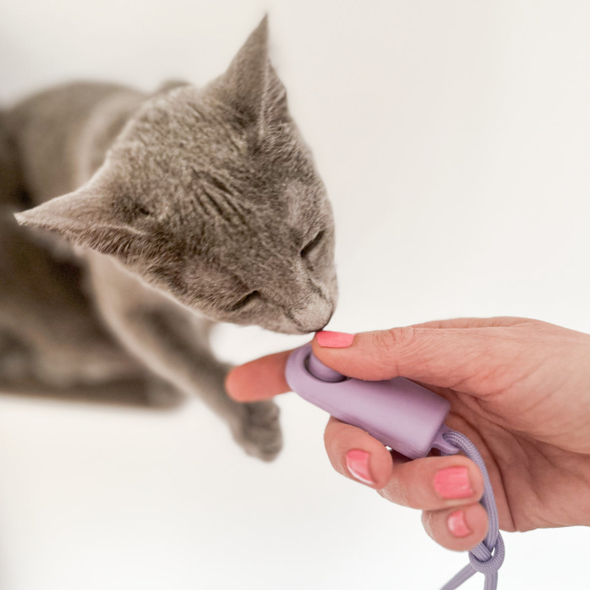 CLICKER Trainings-Klicker | 2er Set