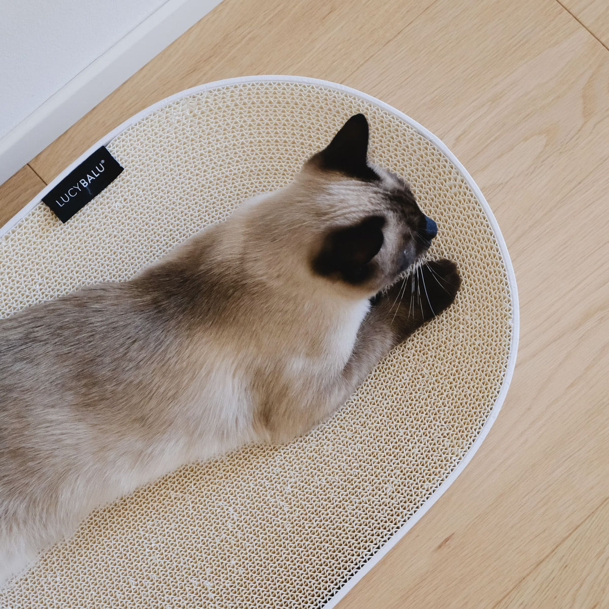 SCRATCHBED Kartonbett