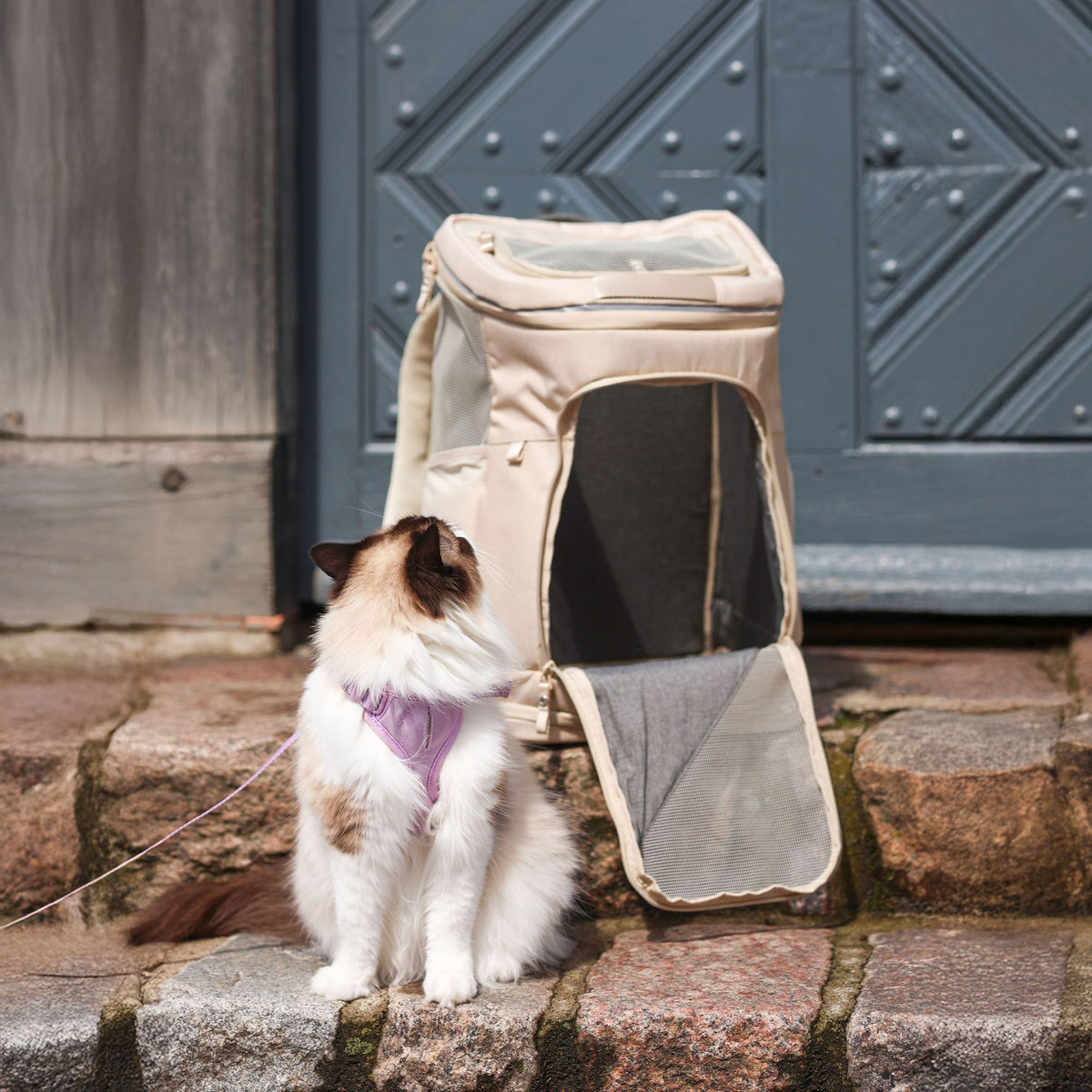 HOP-ON Sac à dos pour chat