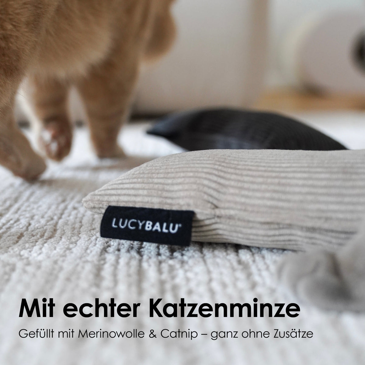 KICK BUNNY Katzenkissen mit Catnip