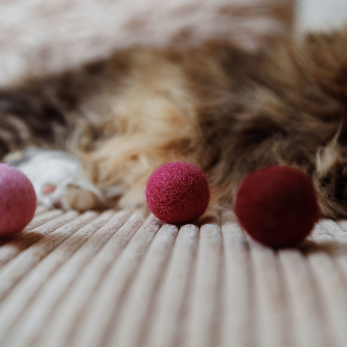 VIVA MAGENTA Boules de feutre - Lot de 6 (Multicolore)