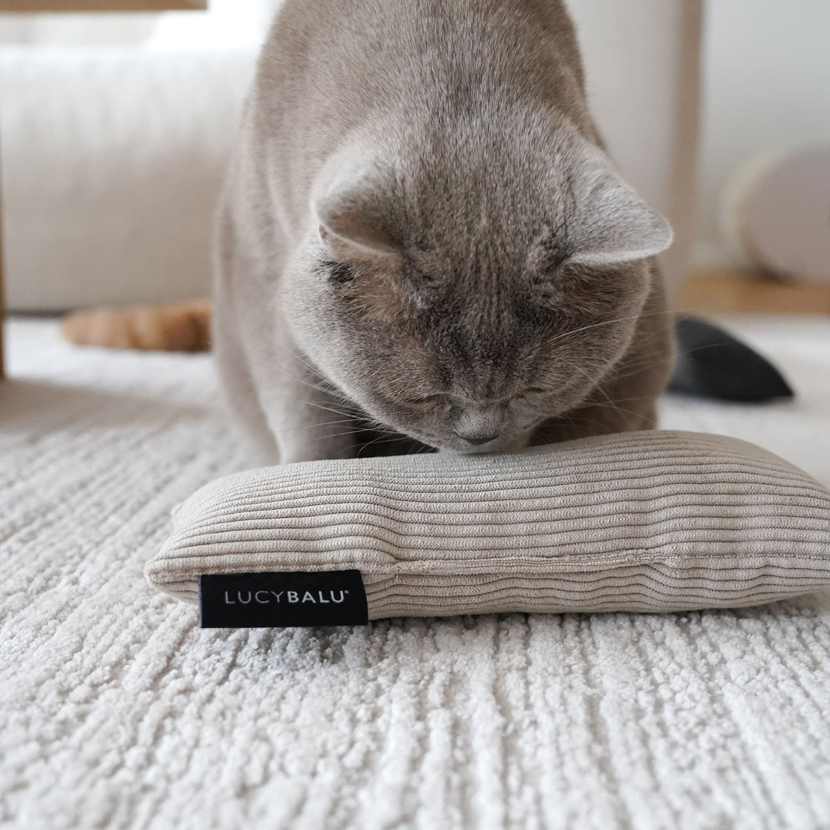 KICK BUNNY Katzenkissen mit Catnip