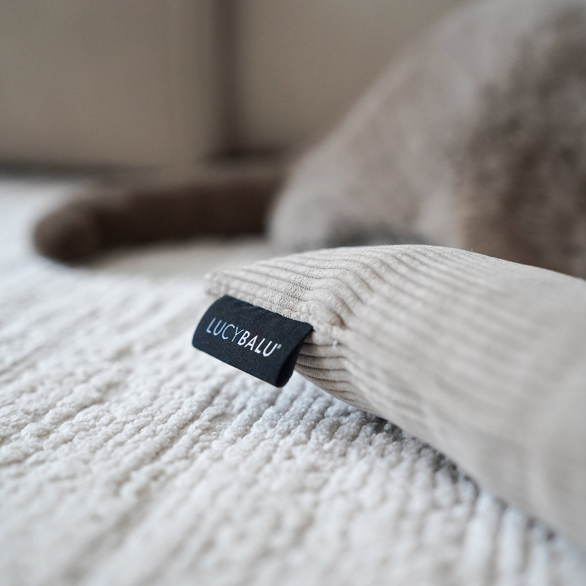 KICK BUNNY Katzenkissen mit Catnip