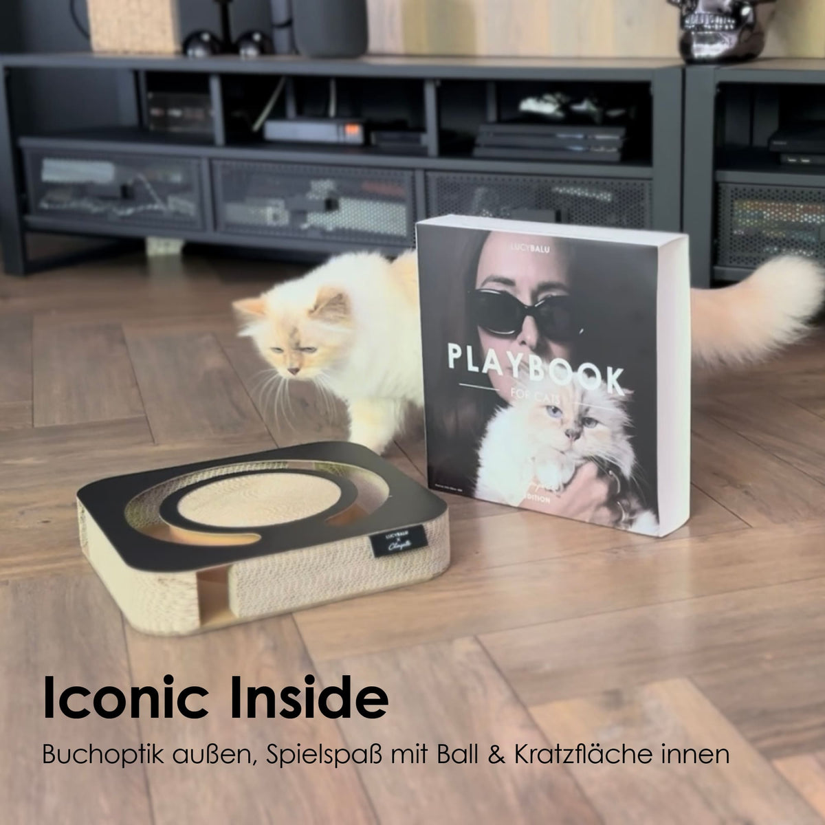 Interaktives Katzenspielzeug mit Buchcover-Optik – Spielspaß mit Kratzfläche &amp; Ball für Designliebhaber.