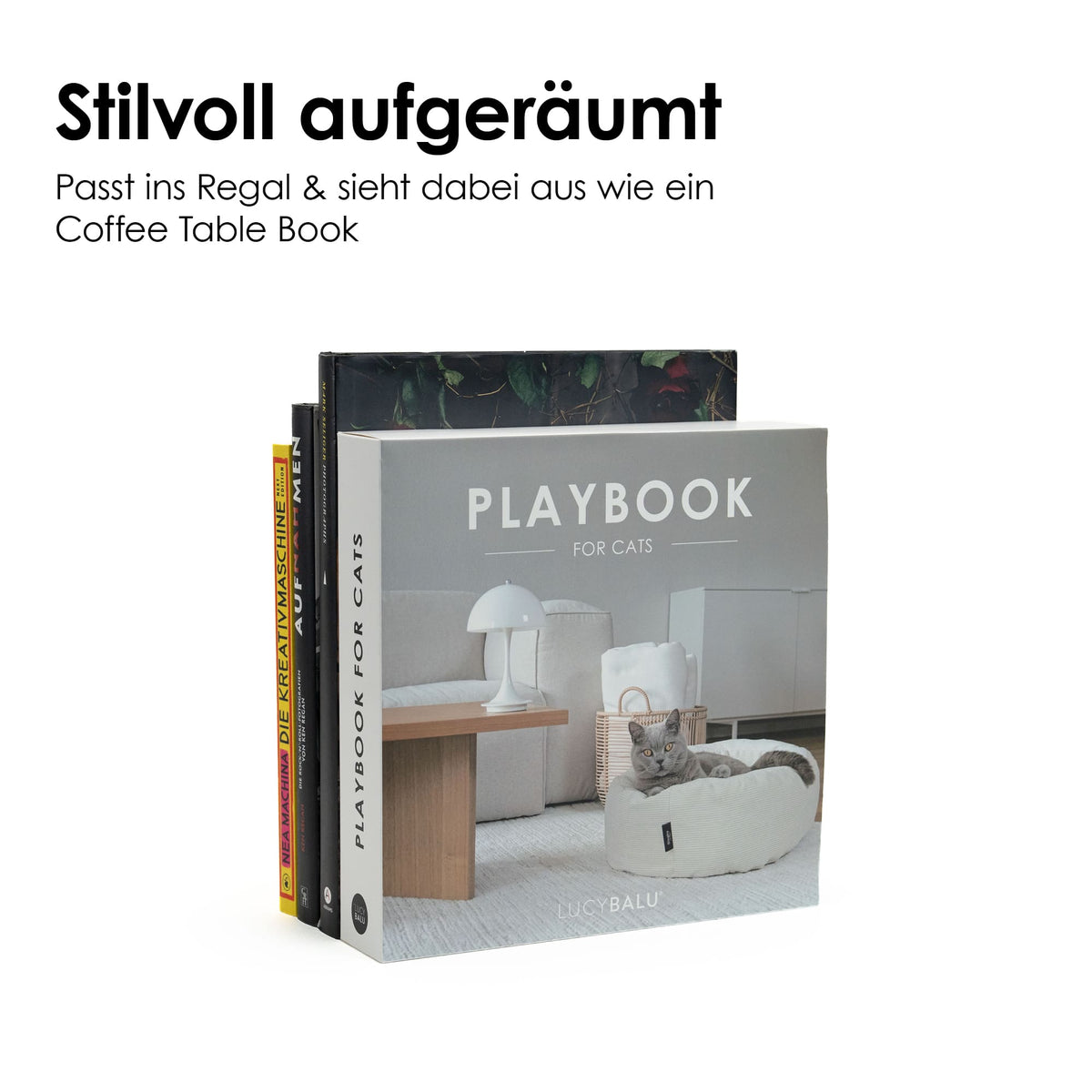 PLAYBOOK Interaktives Spielzeug
