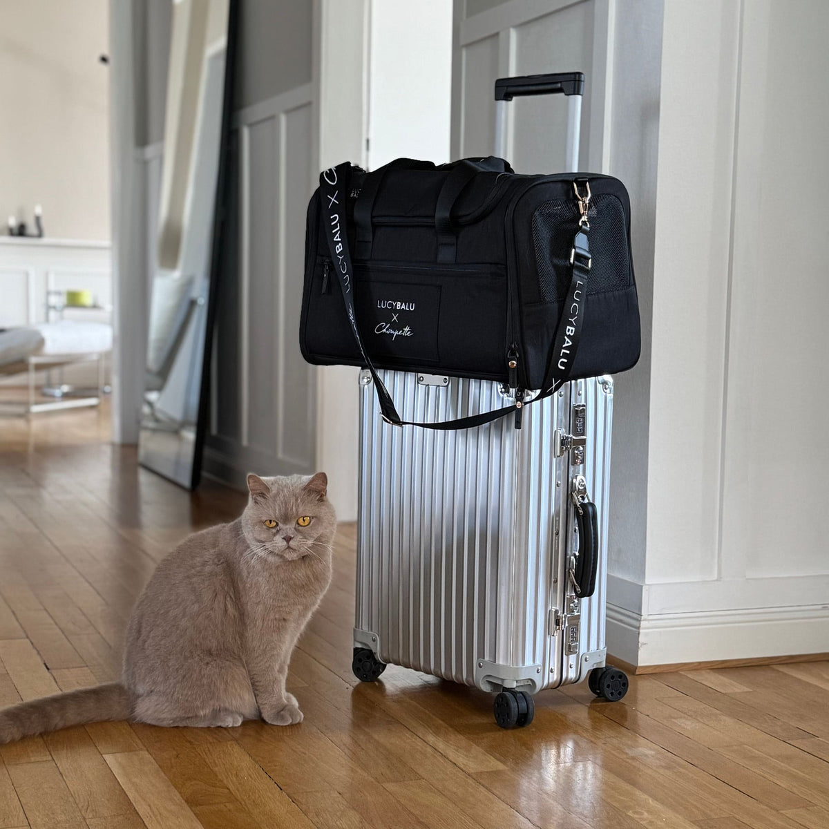 CHECK-IN Sac de transport pour chats