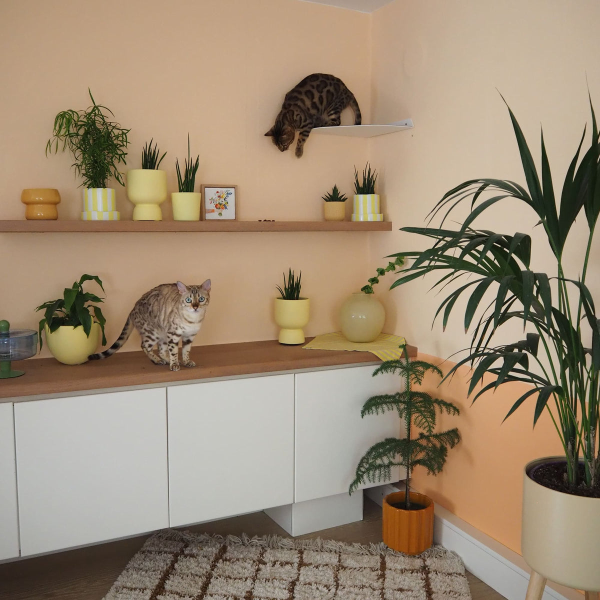 CORNER Banquette &amp; escalier de coin pour chat
