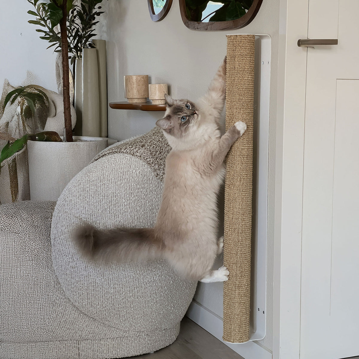 CATWALK Kratzstamm