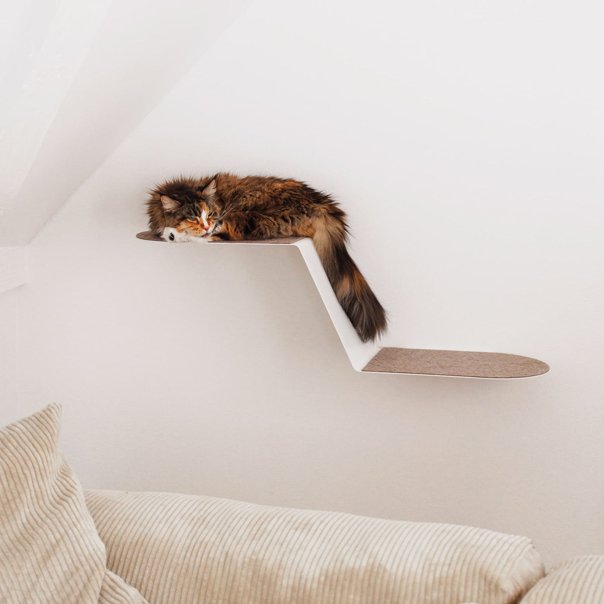 WAVE Katzenstufe XXL