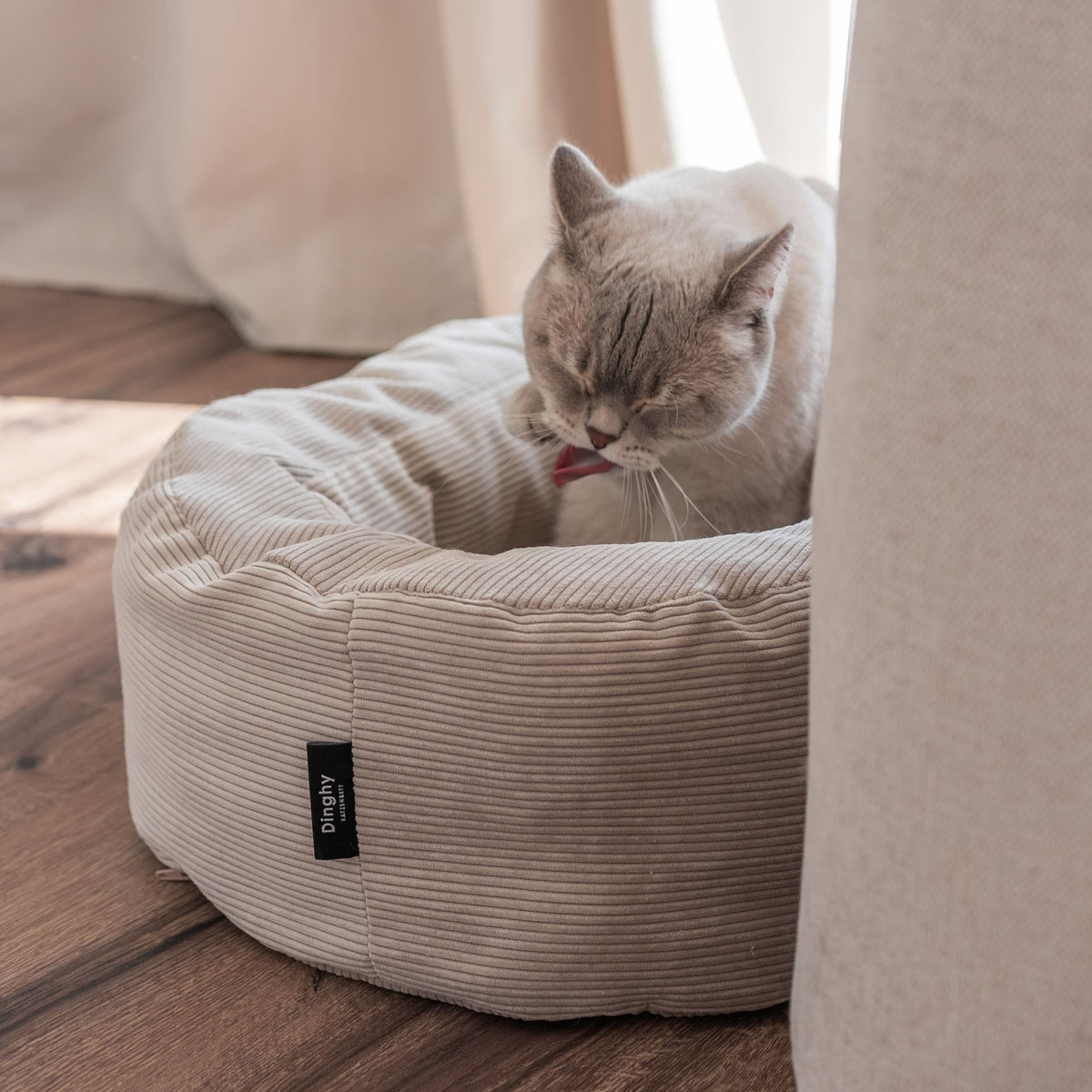 DINGHY Katzenbett