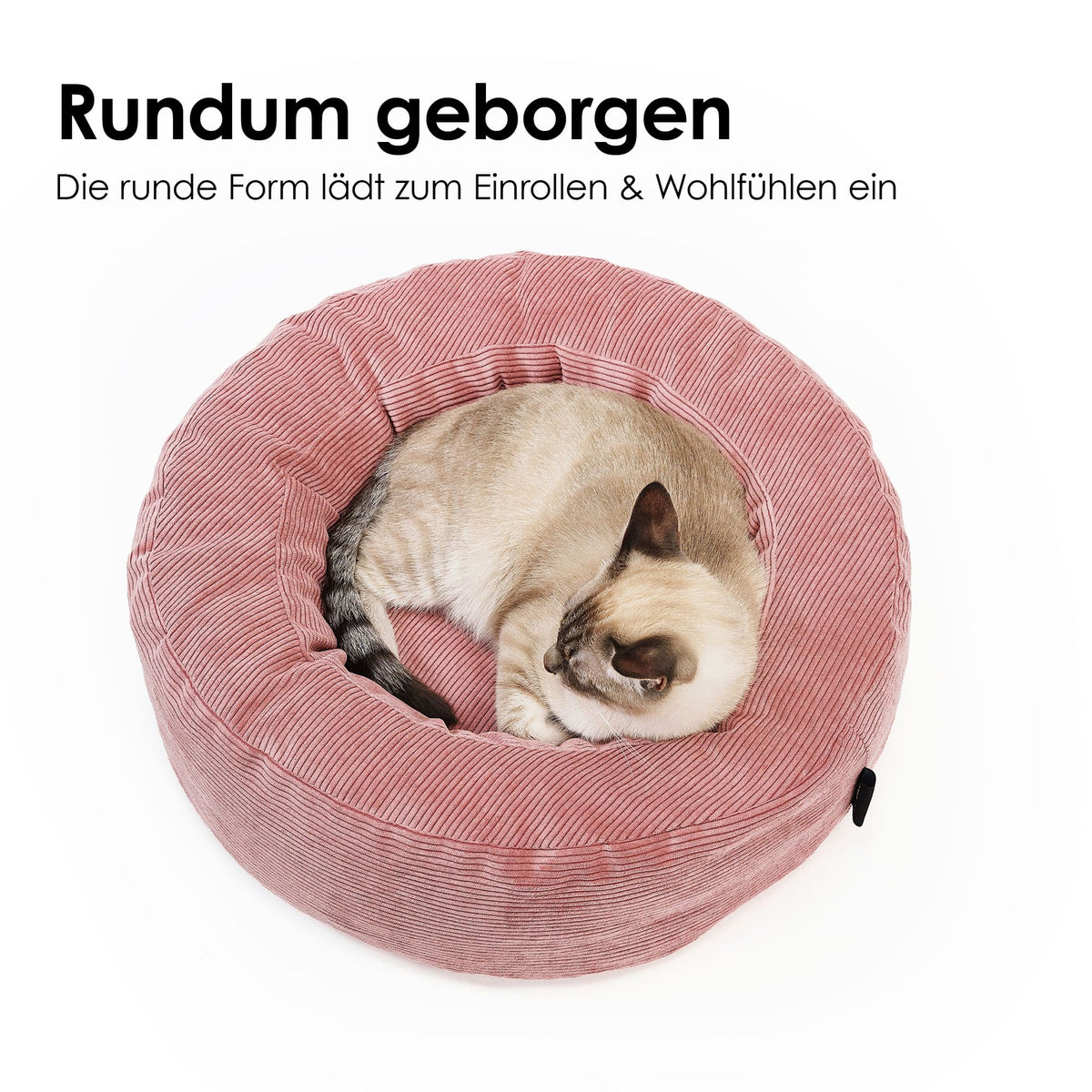 Katze eingerollt im rosa Cordbett, mit Text „Rundum geborgen – Die runde Form lädt zum Einrollen &amp; Wohlfühlen ein
