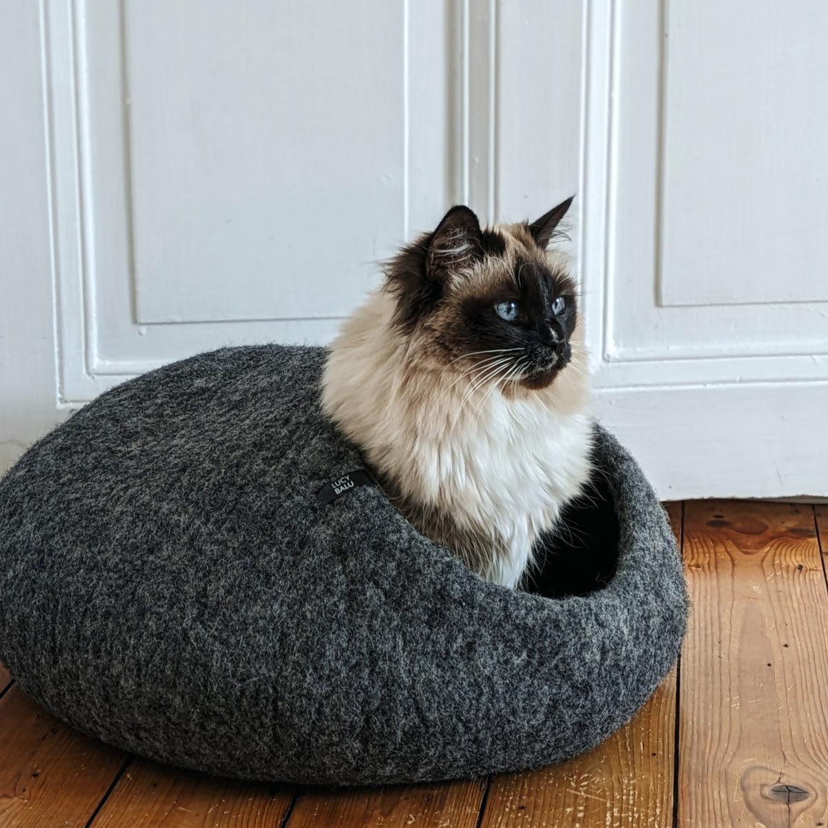 Katzen Filzhöhle im Wohnzimmer