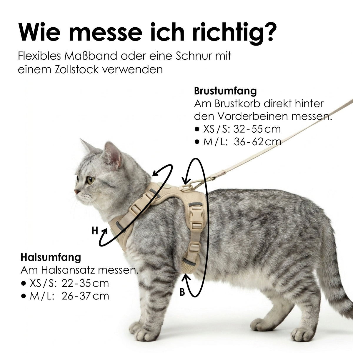 EXPLORER Katzengeschirr