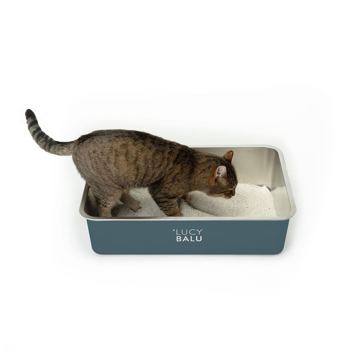 STEELOO Katzentoilette