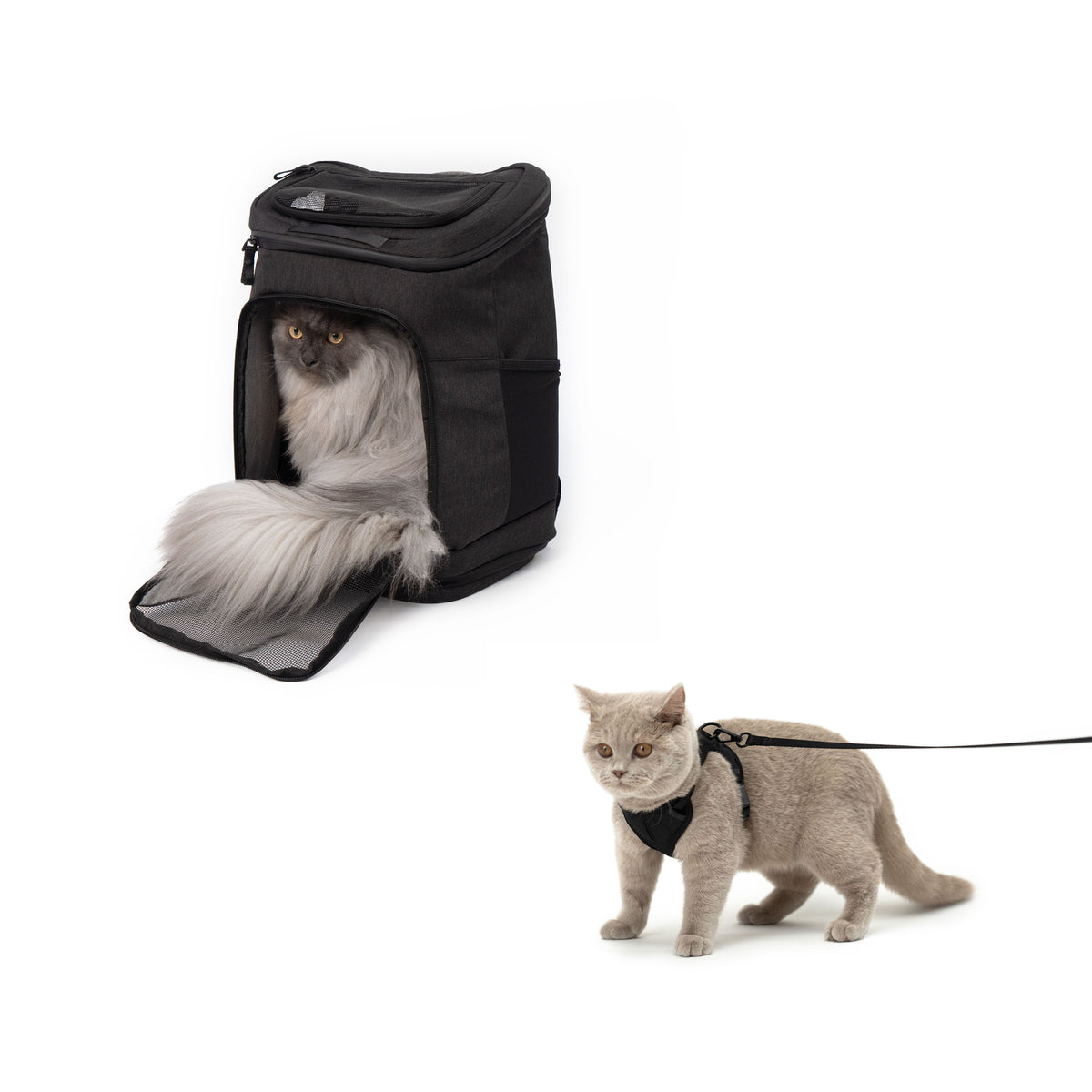 katzenrucksack katzengeschirr leine anthrazit schwarz