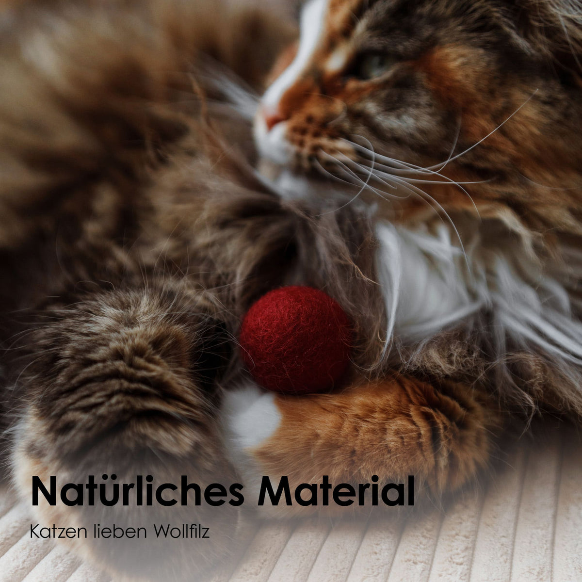 VIVA MAGENTA Boules de feutre - Lot de 6 (Multicolore)