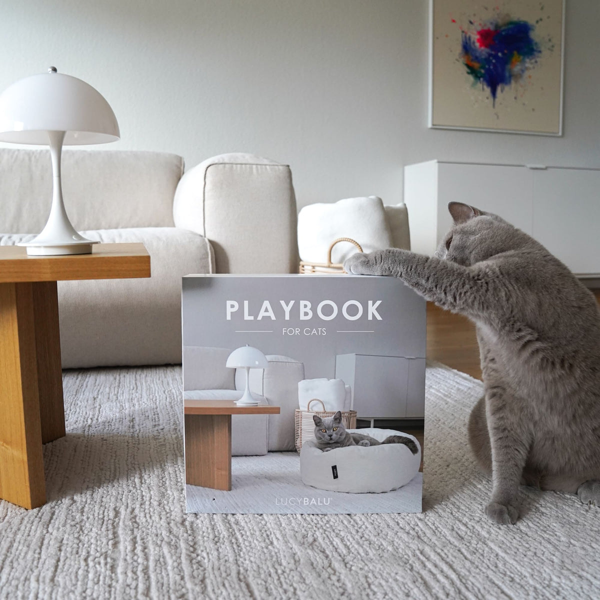 PLAYBOOK Interaktives Spielzeug