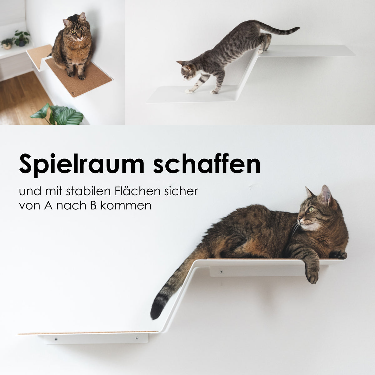 Moderne Katzenstufe für die Wand