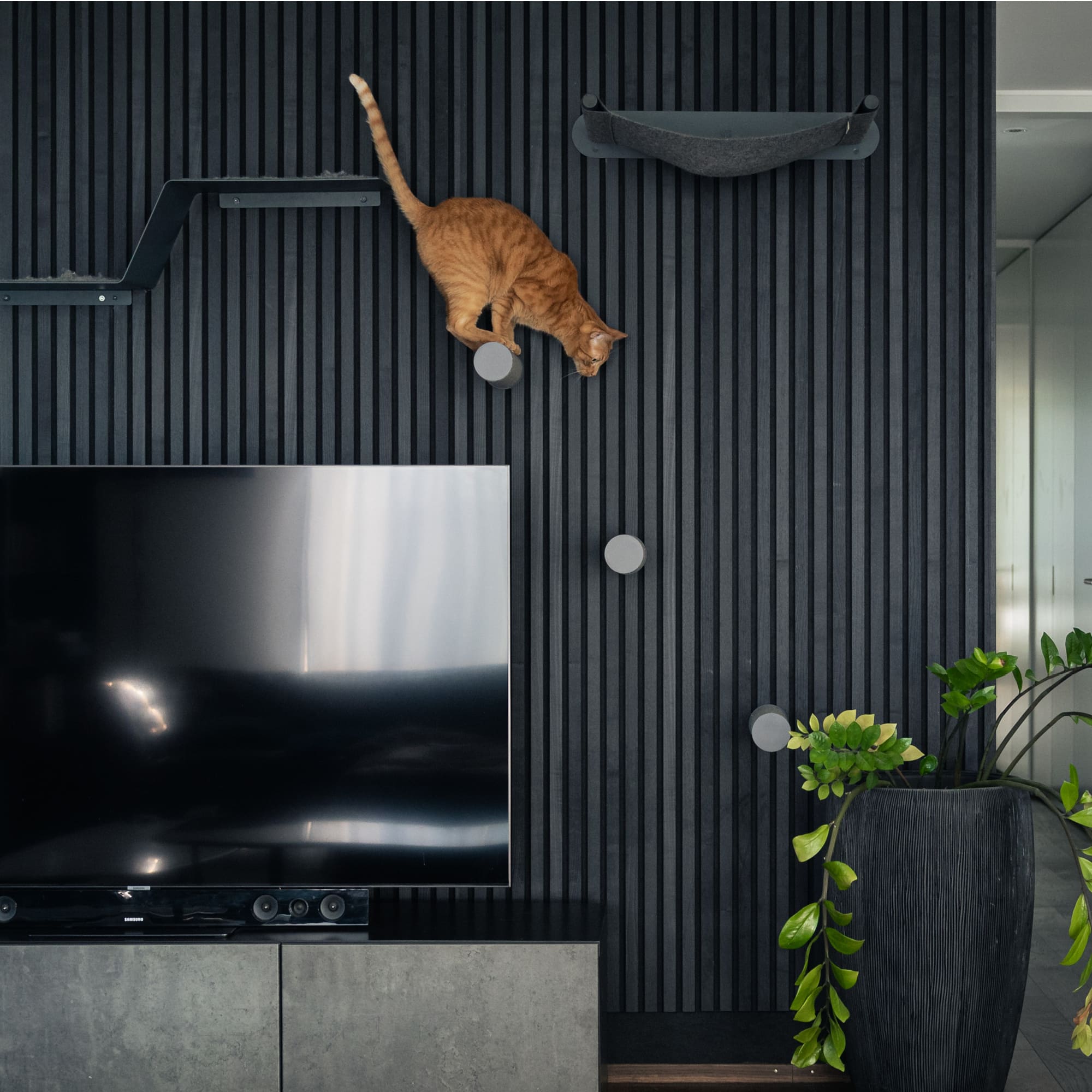 JUMPER LITE Kratzstamm