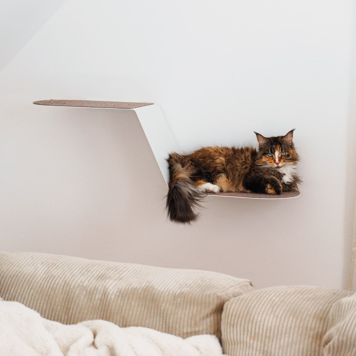 WAVE Katzenstufe XXL