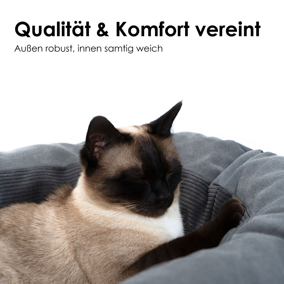 komfortables Katzenbett