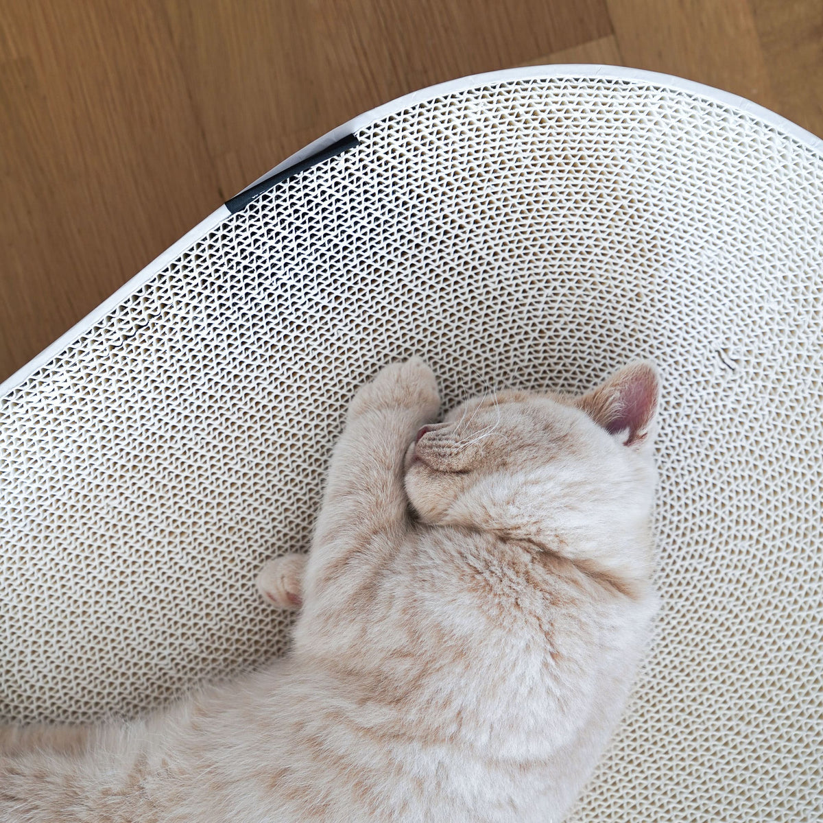 SCRATCHBED Kartonbett