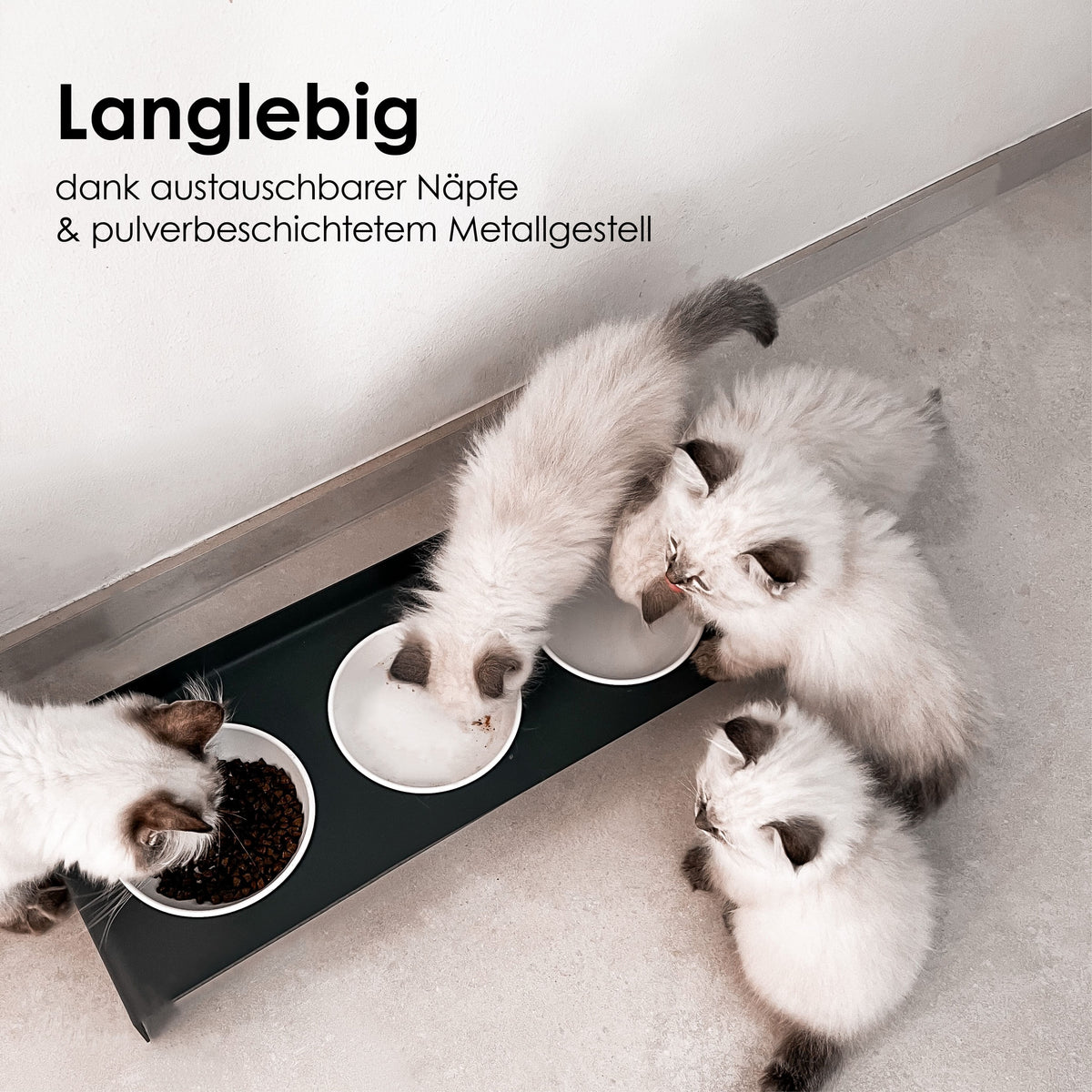 Langlebige Katzen Futterstation