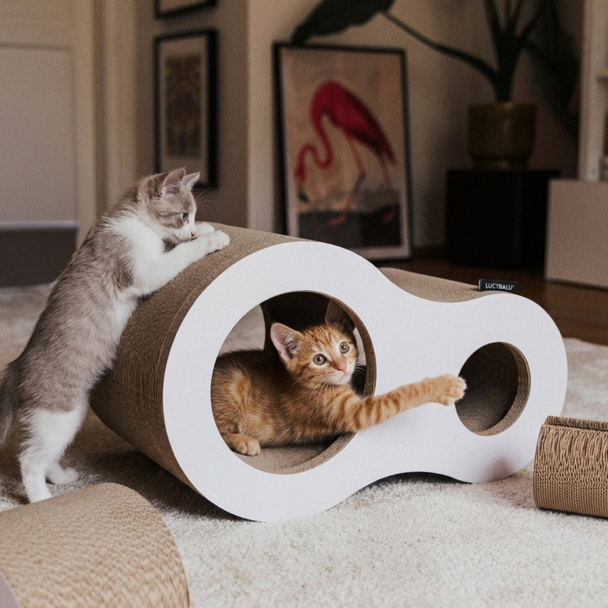 Katzen Papp Spielhöhle LucyBalu
