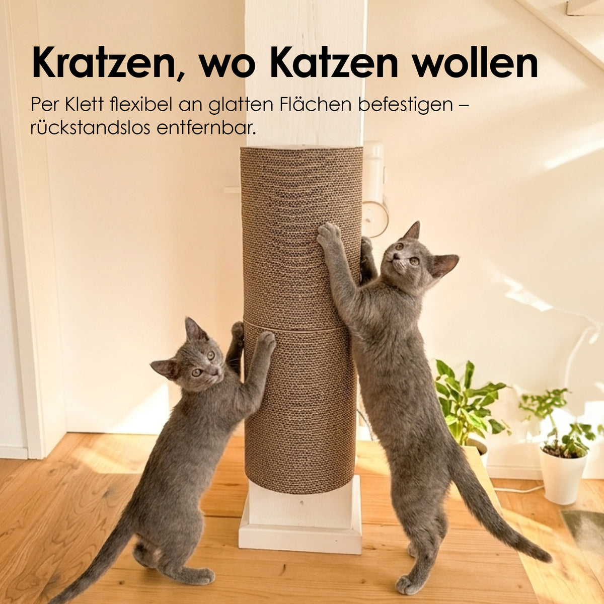 Kratz Elemente aus Pappe