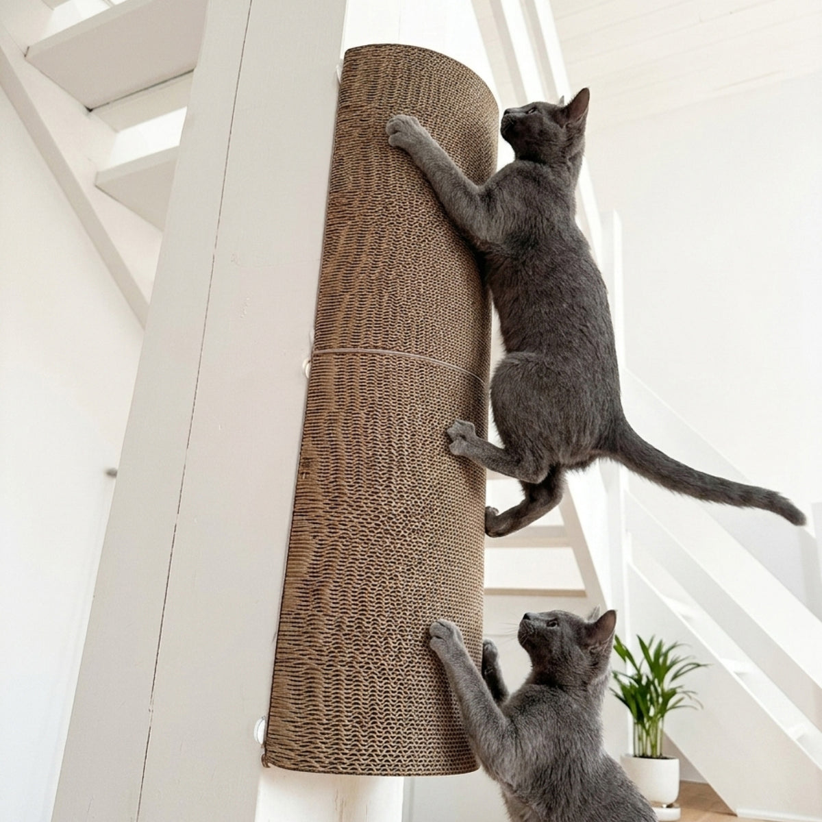 Kratzelemente aus Pappe für Katzen